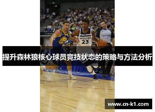 提升森林狼核心球员竞技状态的策略与方法分析